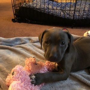 Meet your Posher, Kendra